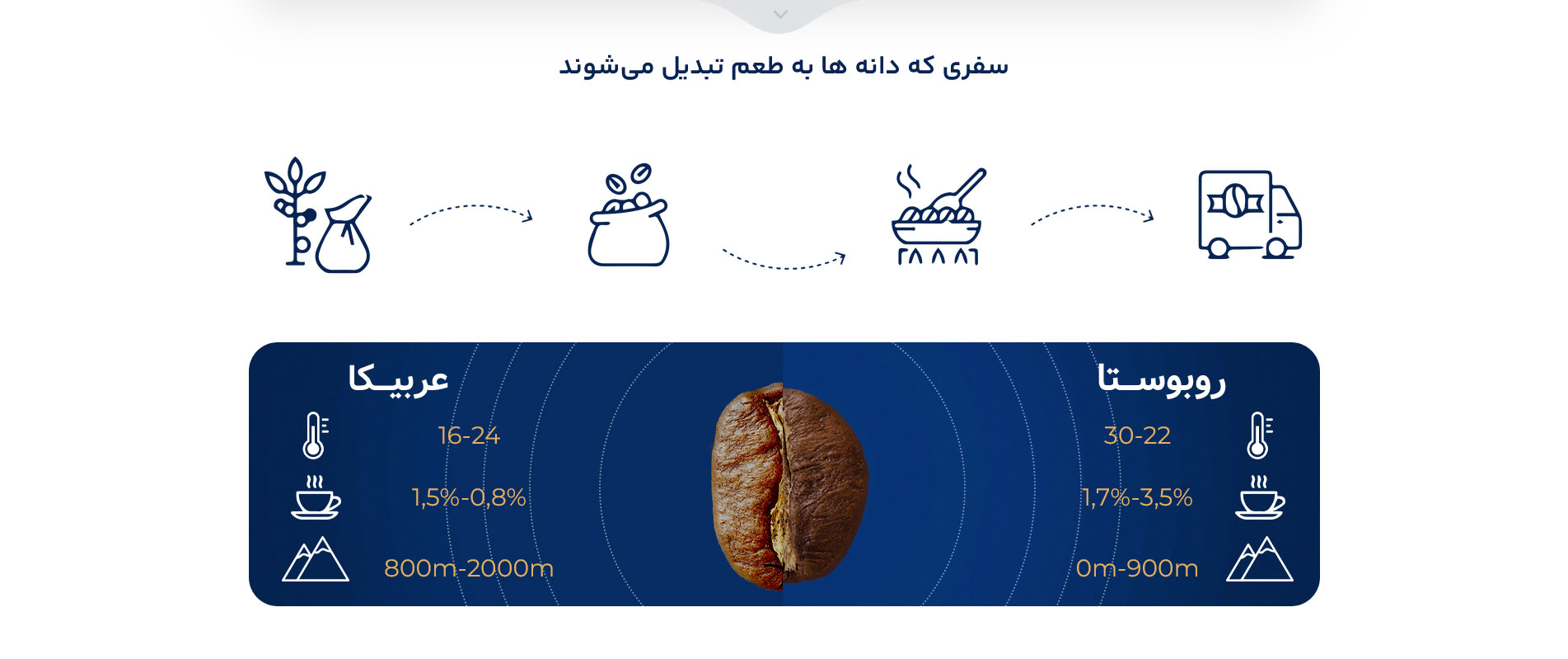 سایت فروشگاهی  ریچاردو